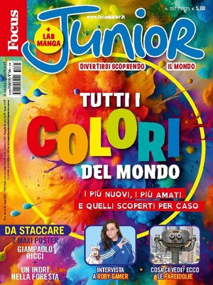 cover image of Focus Junior